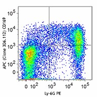 APC anti-mouse CD169 (Siglec-1) Antibody (142417)