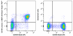 Brilliant Violet 750™ anti-mouse CD185 (CXCR5) Antibody (145541)