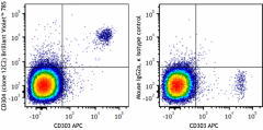 Brilliant Violet 785™ anti-human CD304 (Neuropilin-1) Antibody (354543)
