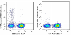 Purified anti-human CD159c (NKG2C) Antibody (375002)