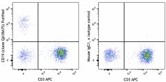 Purified anti-human CD19 Recombinant Antibody (309502)