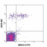 FITC anti-human CD23 Antibody (338505)