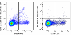 Brilliant Violet 421™ anti-mouse MERTK (Mer) Antibody (151510)