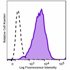 PE anti-human HLA-G Recombinant Antibody (381803)