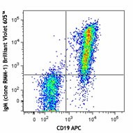 Brilliant Violet 605™ anti-mouse IgM Antibody (406523)