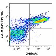 FITC anti-mouse CD172a (SIRPα) Antibody (144005)