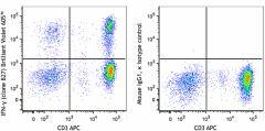 Brilliant Violet 605™ anti-human IFN-γ Antibody (506541)
