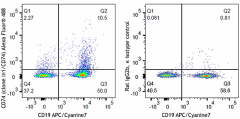 Alexa Fluor® 488 anti-mouse CD74 (CLIP) Antibody (151005)