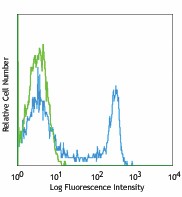 FITC anti-rat CD8a Antibody (201703)