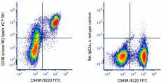 Spark YG™ 581 anti-mouse CD38 Antibody (102749)