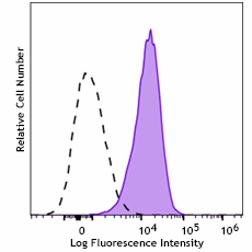 Spark YG™ 593 anti-human CD105 Antibody (323233)