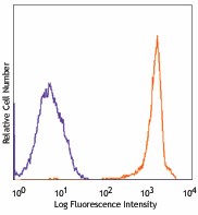 FITC anti-mouse CD90.2 (Thy1.2) Antibody (140303)