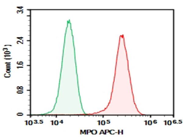Purified Anti-Human MPO Antibody[1B10] (AN009250P)