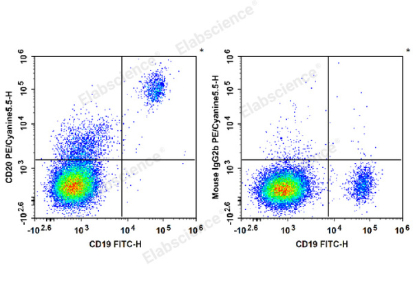 PE/Cyanine5.5 Anti-Human/Monkey CD20 Antibody[2H7] (E-AB-F1212I)