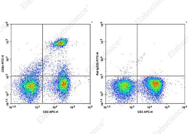 FITC Anti-Mouse CD8a Antibody[YTS 105.18] (AN00331UC)