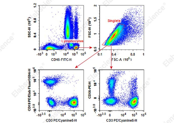 Anti-Human CD45-FITC/CD3-PE/Cyanine5/CD56/NCAM-PE/CD19-PE/Elab Fluor® 594 Cocktail (E-AB-FC0028)
