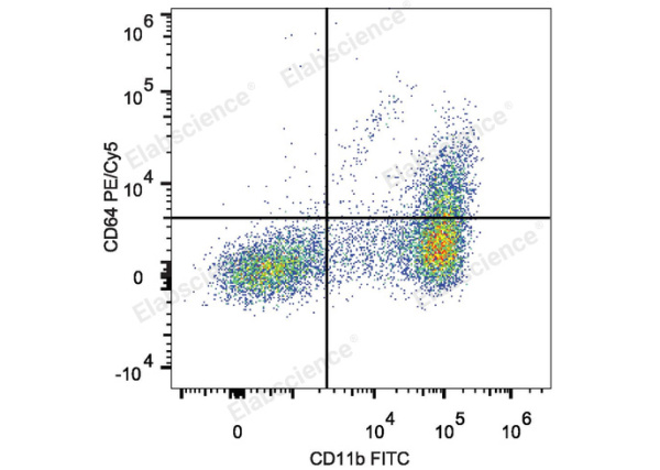 PE/Cyanine5 Anti-Mouse CD64/FcγRI Antibody[X54-5/7.1] (E-AB-F1186G)