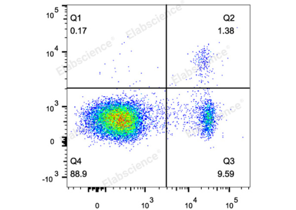 APC Anti-Mouse Foxp3 Antibody[3G3] (E-AB-F1238E)