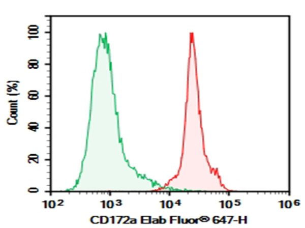 AF/LE Purified Anti-Mouse CD172a Antibody[P84] (E-AB-F12860)