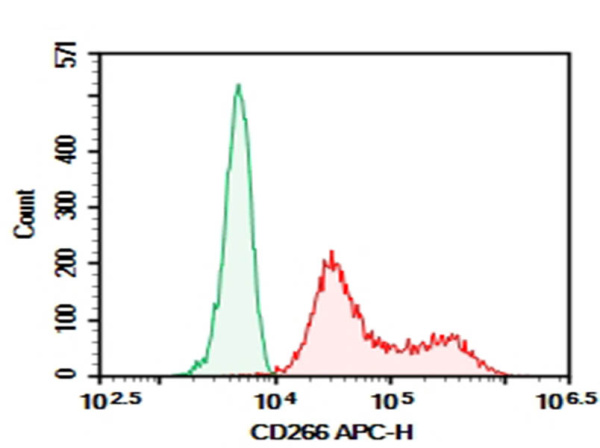Purified Anti-Human CD266 Antibody[ITEM-1] (AN008890P)