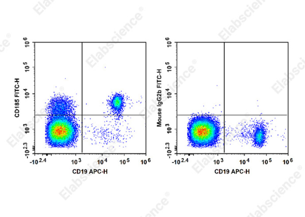 FITC Anti-Human CD185 Antibody[MU5UBEE] (E-AB-F1416C)