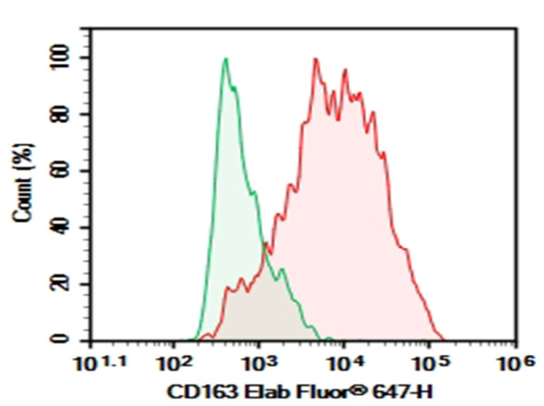 Purified Anti-Human CD163 Antibody[MAC2-158] (AN004800P)