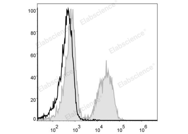 PE Anti-Mouse CD19 Antibody[1D3] (E-AB-F0986D)