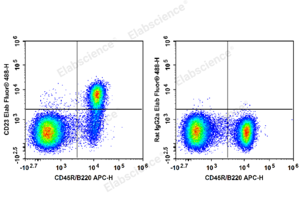 Elab Fluor® 488 Anti-Mouse CD23 Antibody[B3B4] (E-AB-F1178UL)