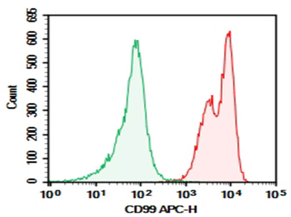 Purified Anti-Human CD99 Antibody[HI156] (E-AB-F1339A)