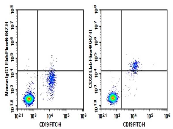 Purified Anti-Human CD22 Antibody[RFB4] (AN004020P)