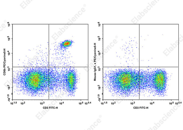 PE/Cyanine5 Anti-Mouse CD8b Antibody[YTS156.7.7] (AN00479G)