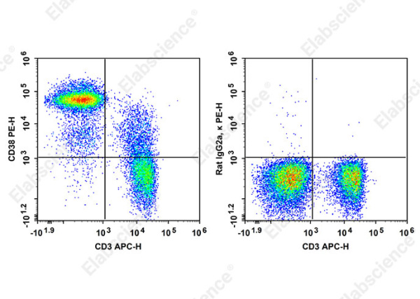 PE Anti-Mouse CD38 Antibody[90] (AN00858D)