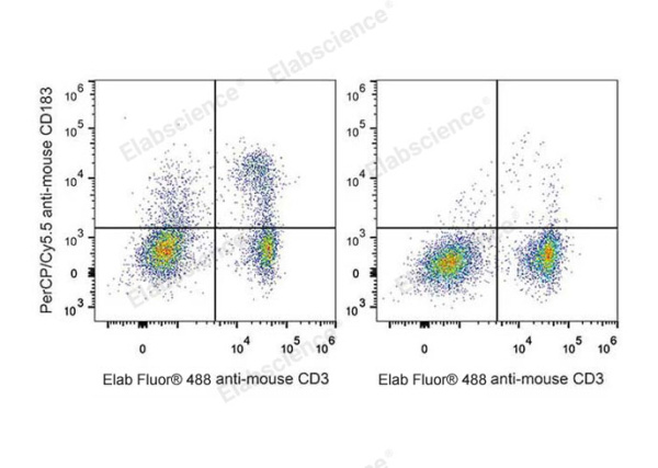 PerCP/Cyanine5.5 Anti-Mouse CD183/CXCR3 Antibody[CXCR3-173] (E-AB-F1114J)