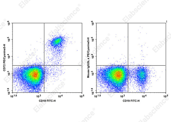 PE/Cyanine5 Anti-Human CD72 Antibody[3F3] (AN00325G)