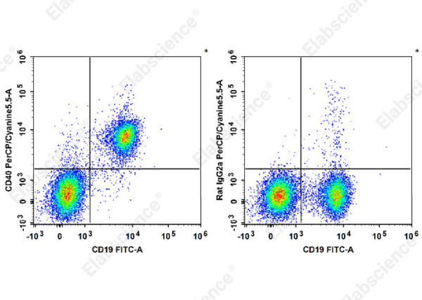 PerCP/Cyanine5.5 Anti-Mouse CD40 Antibody[FGK4.5/FGK45] (E-AB-F1028J)