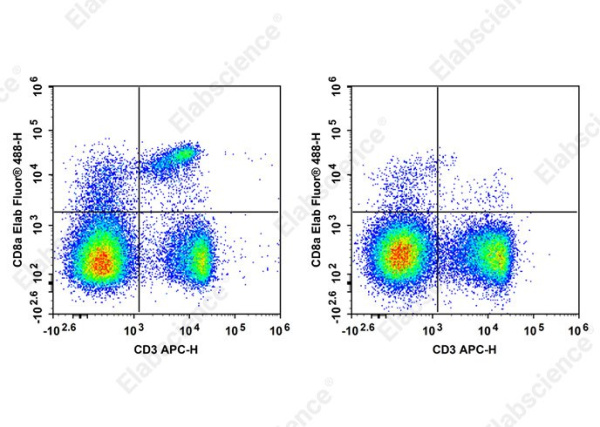 Elab Fluor® 488 Anti-Mouse CD8a Antibody[YTS169.4] (AN00408L)
