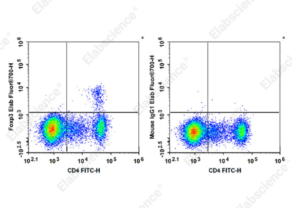 Elab Fluor® 700 Anti-Mouse Foxp3 Antibody[3G3] (E-AB-F1238M1)