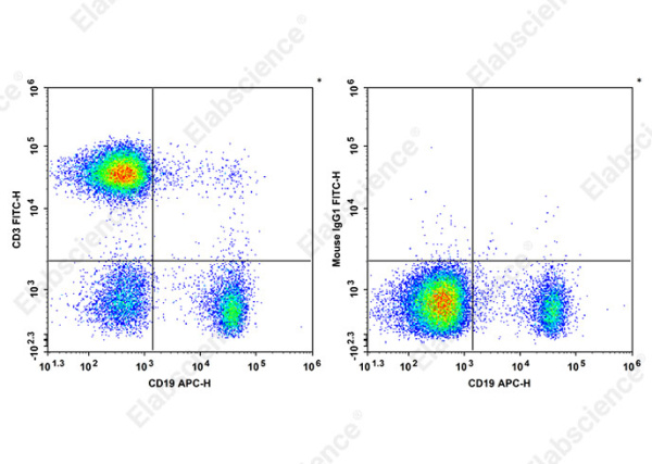 FITC Anti-Human CD3 Antibody[HIT3b] (AN00644C)