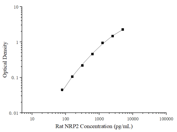 Rat NRP2 Antibody Pair Set (E-KAB-0387)