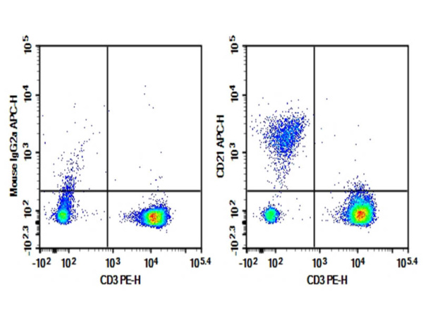 Purified Anti-Human CD21 Antibody[HI21a] (E-AB-F1320A)