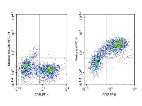 Purified Anti-Human Perforin Antibody[δG9] (AN010970P)