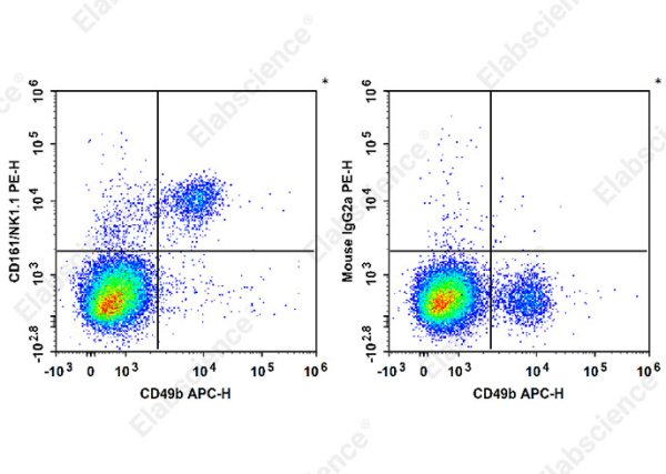 PE Anti-Mouse CD161/NK1.1 Antibody[PK136] (E-AB-F0987D)