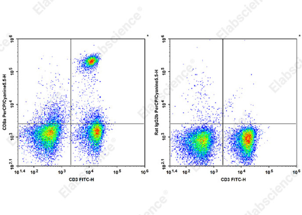 PerCP/Cyanine5.5 Anti-Mouse CD8a Antibody[YTS 105.18] (AN00331UJ)