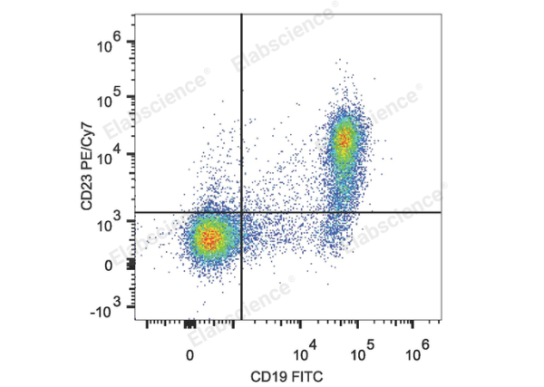 PE/Cyanine7 Anti-Mouse CD23 Antibody[B3B4] (E-AB-F1178H)