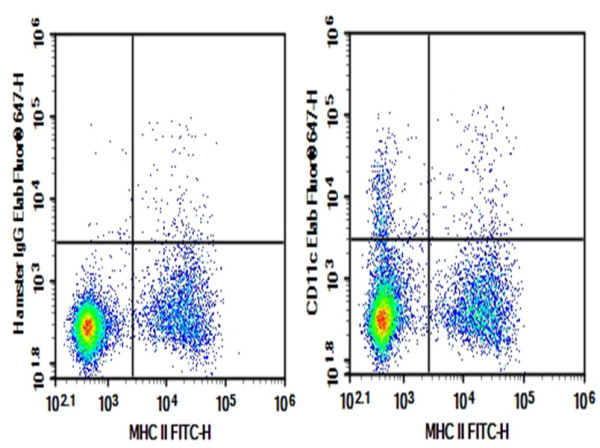Purified Anti-Mouse CD11c Antibody[N418] (E-AB-F09910P)
