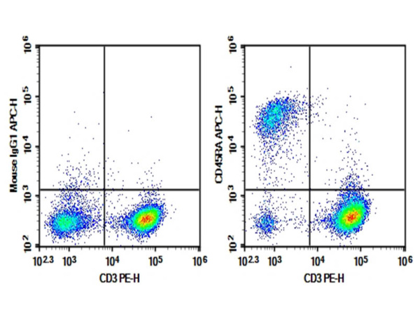 Purified Anti-Rat CD45RA Antibody[OX-33] (E-AB-F1306A)