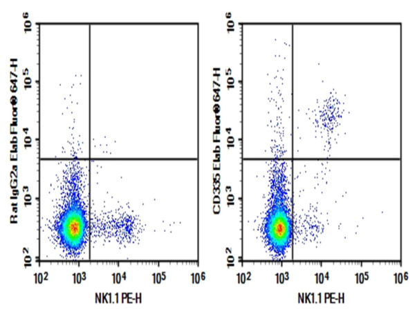 Purified Anti-Mouse CD335 Antibody[29A1.4] (E-AB-F1182A)