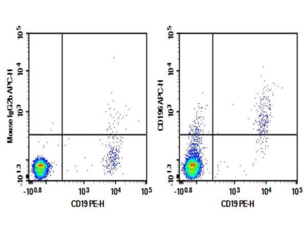 Purified Anti-Human CD196/CCR6 Antibody[G034E3] (E-AB-F1158A)