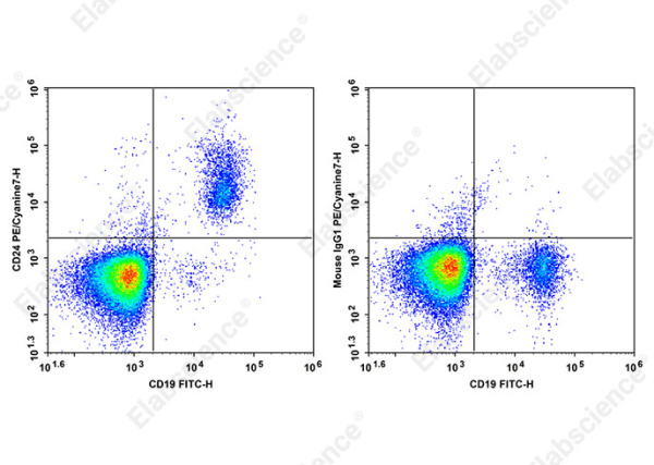 PE/Cyanine 7 Anti-Human CD24 Antibody[HIQB24] (AN00645H)