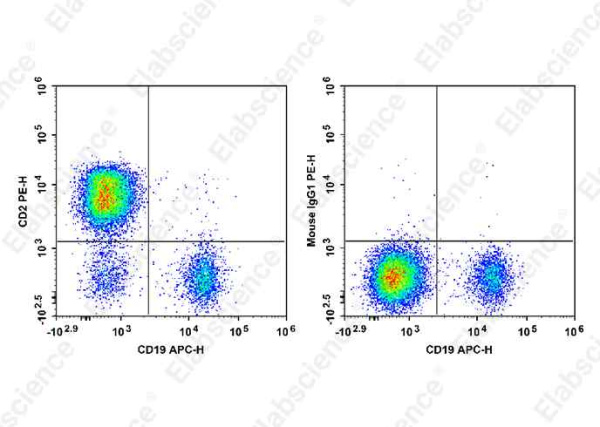 FITC Anti-Human CD2 Antibody[HIT11] (E-AB-F1311C)